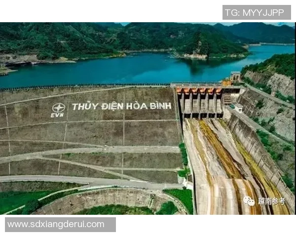 越南与泰国足球实力对比分析谁能在东南亚赛场称雄