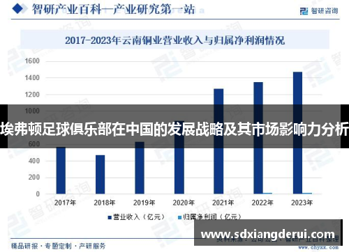 埃弗顿足球俱乐部在中国的发展战略及其市场影响力分析